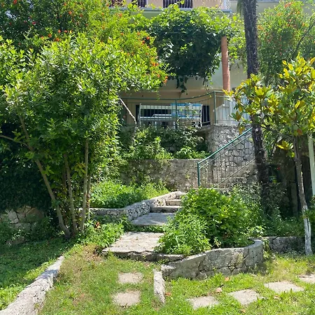 Hostel San